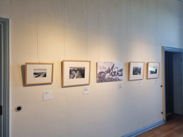 Blick in die Ausstellung